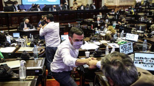Diputados aprueba la ley Yolanda para la formación de funcionarios sobre temas en medio ambiente