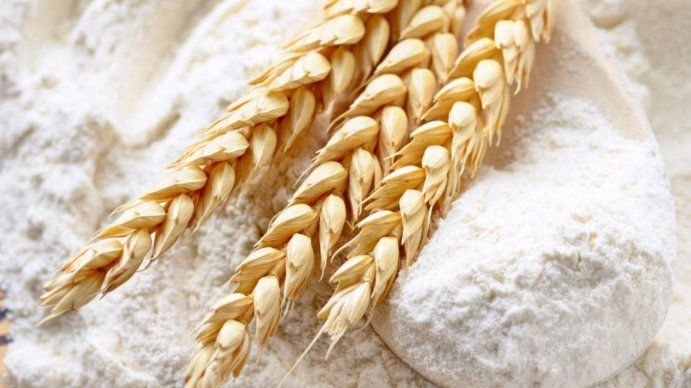 ¿Se cae el fondo del trigo creado por Roberto Feletti?: la gran mayoría de los molinos ratificó su rechazo a participar