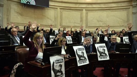 Qué puede pasar con los cambios que votó el Senado a jubilaciones y discapacidad