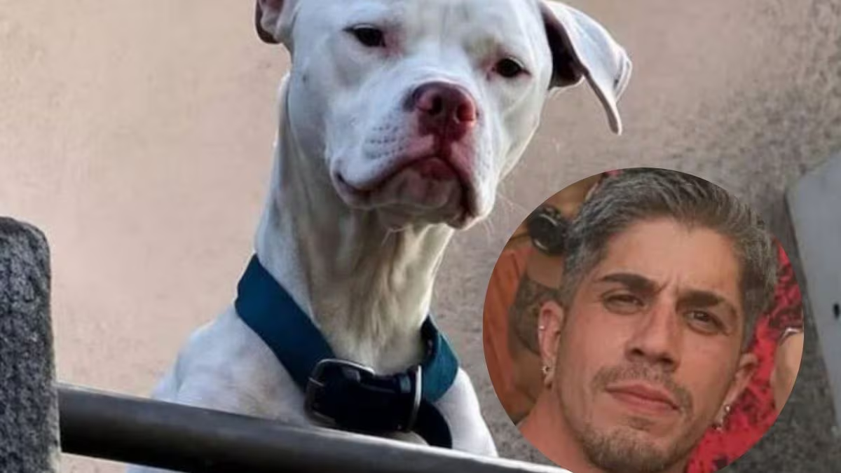 Se supo qué pasó con el perro de Claudio Barrelier, el único detenido por el femicidio de Agostina Vega