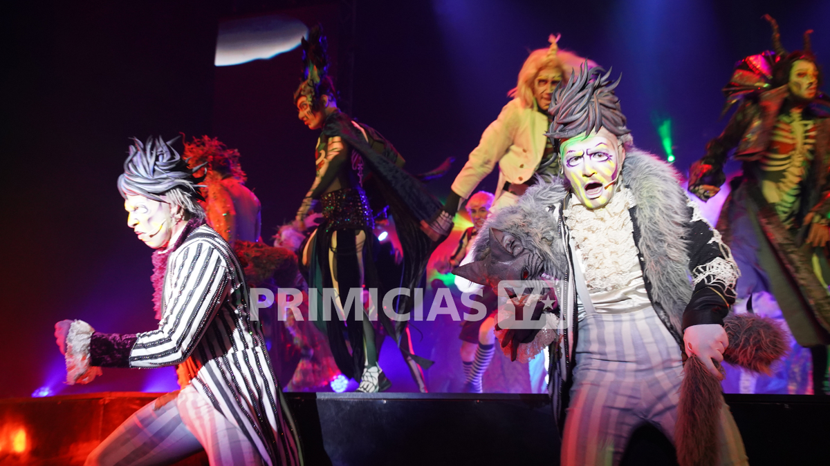 circo 4