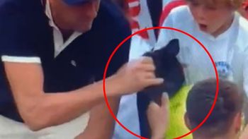 US Open: el gesto repugnante de un fanático que le robó a un nene el regalo de un tenista