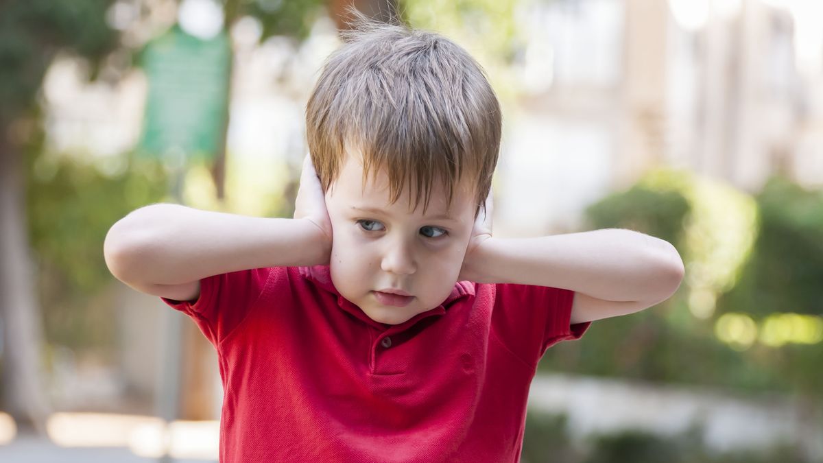 Los niños con Trastorno del Espectro del Autismo (TEA) y la problemática de la pirotecnia