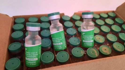 Vacunas COVID-19: Covishield ¿Qué efectividad tiene?