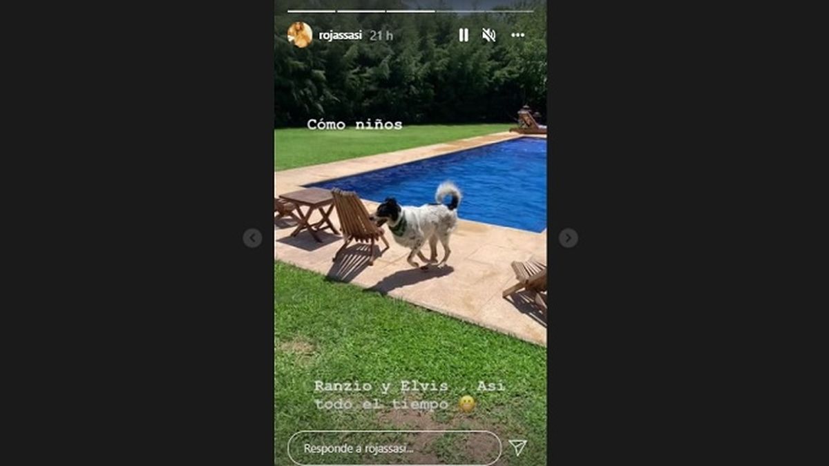 Además de compartir las imágenes de Esperanza en la radio, Sabrina Rojas mostró la mega pileta en la que disfrutó el caluroso fin de semana junto a sus hijos y su novio, el Tucu López.