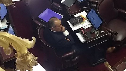La tarde de las estrellas: cómo vivieron Menem, Cristina y el Adolfo el debate por el aborto