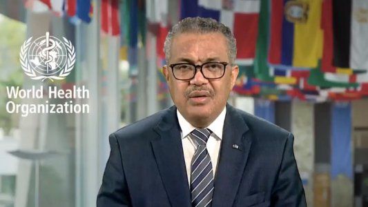 Alerta: la OMS confirmó que ya hay seis países con casos de coronavirus en visones