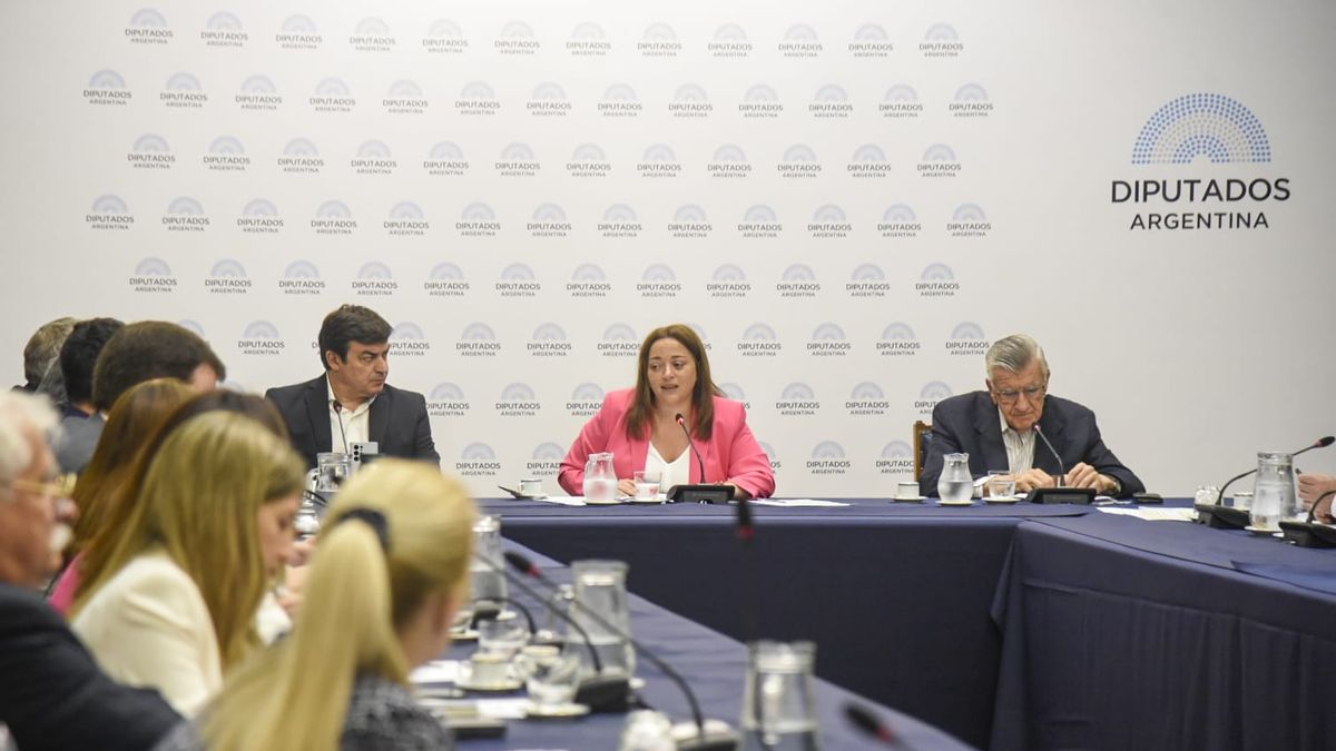 Cecilia Moreau en la reunión de labor parlamentaria (Foto: Diputados)