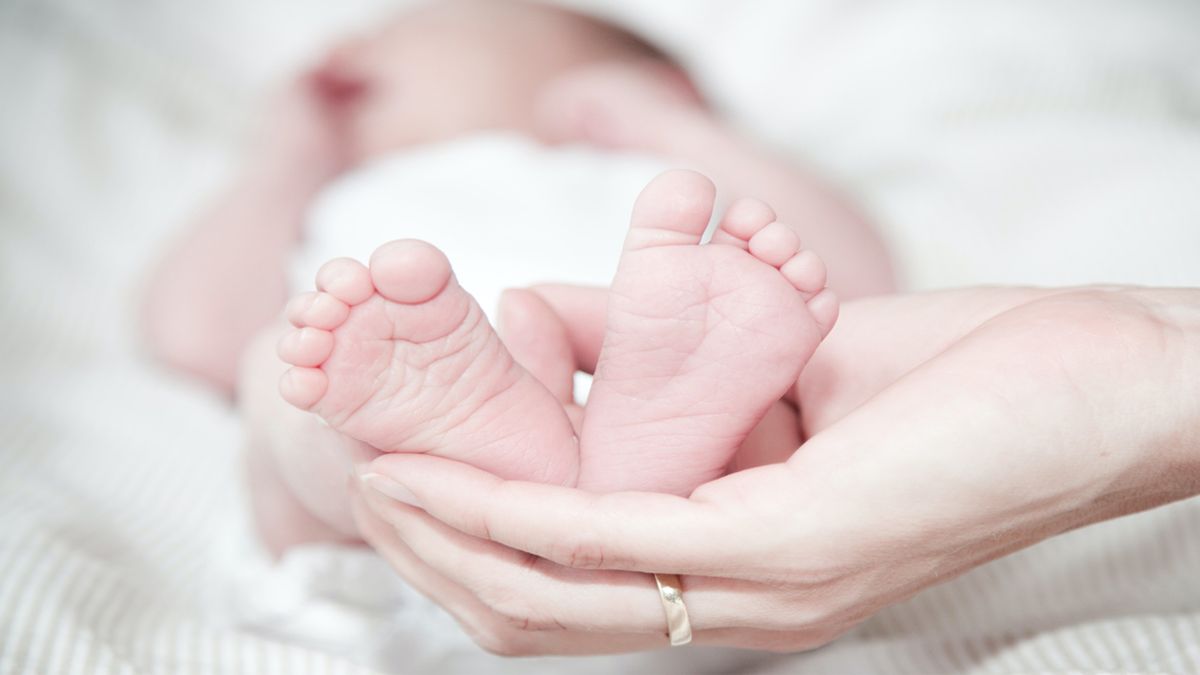 ANSES Prenatal y Maternidad: Quiénes pueden cobrar estas asignaciones