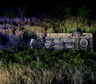 Tragedia: una pareja y su bebé murieron tras chocar de frente con una camioneta en la Ruta 11