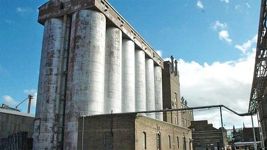 Molino Cañuelas, el mayor productor de harina del país, entra en convocatoria de acreedores