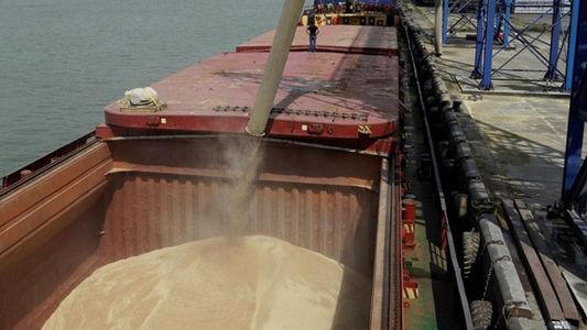 Adelanto de divisas: exportadores de granos comienzan con la liquidación anticipada