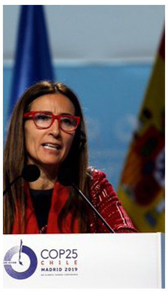 Madrid: la presidenta de la Cumbre del Clima y ONGs se lamentaron por la falta de acuerdo por las emisiones de carbono