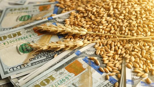 Dólar agro: en detalle, quiénes y cuándo podrán liquidar con un tipo de cambio a $300
