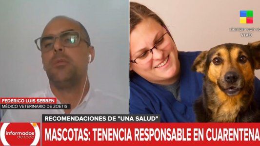 Mascotas: una salud y tenencia responsable en tiempos de cuarentena