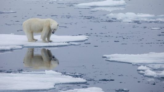 Cambio climático: inundaciones, incendios y sequías, la nueva normalidad en la Argentina y el mundo