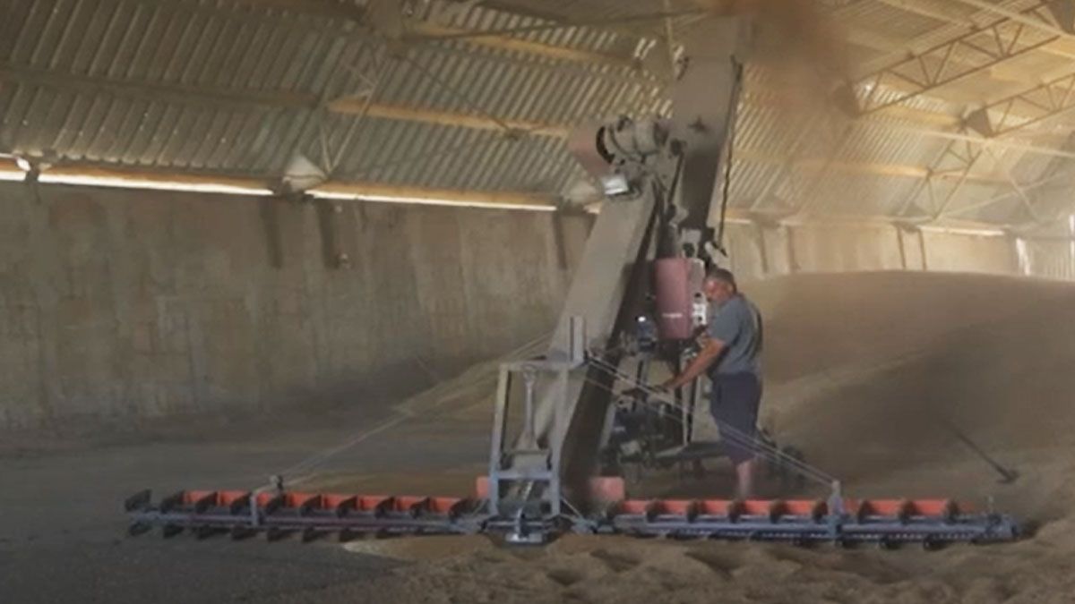 Los granos de Rusia y de Ucrania, trabados por la guerra y traen problemas para la exportación mundial de alimentos (Foto: AP)