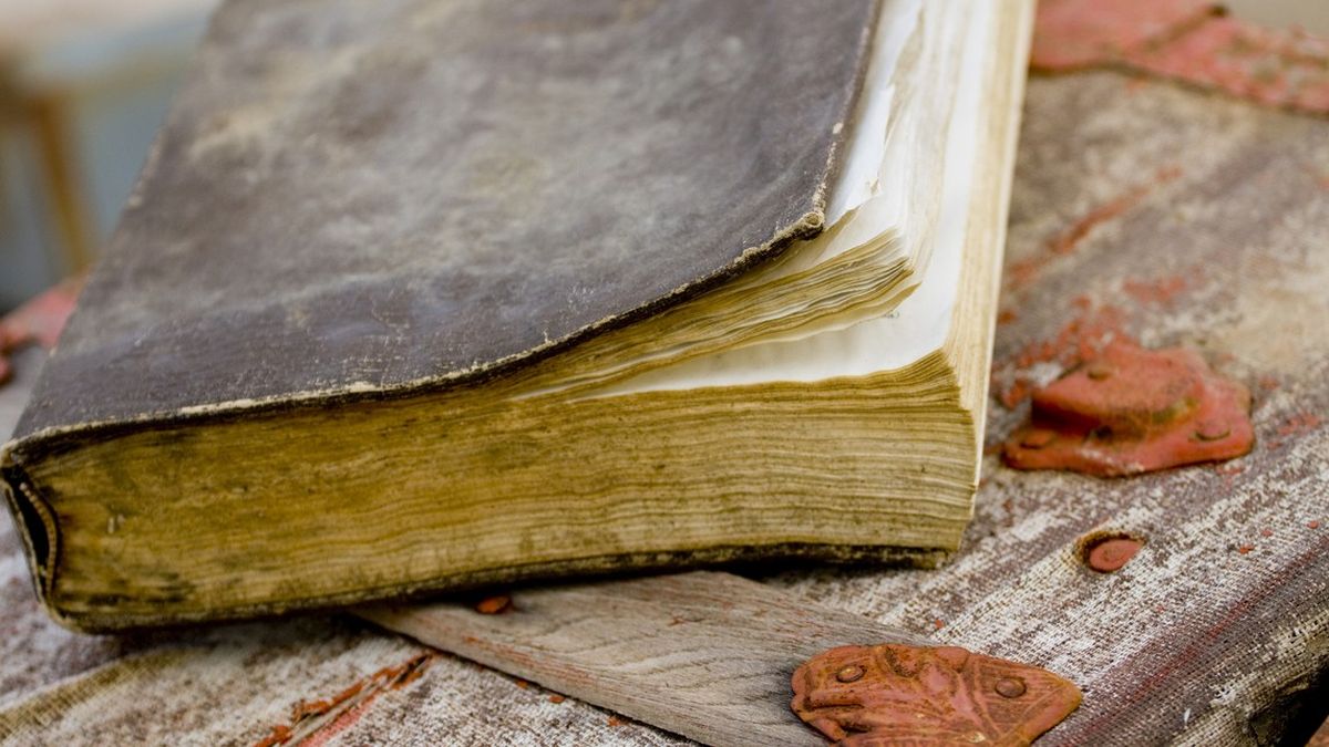 En TikTok y YouTube crece la tendencia de recomendar la colocación de libros usados en el freezer para protegerlos de hongos.