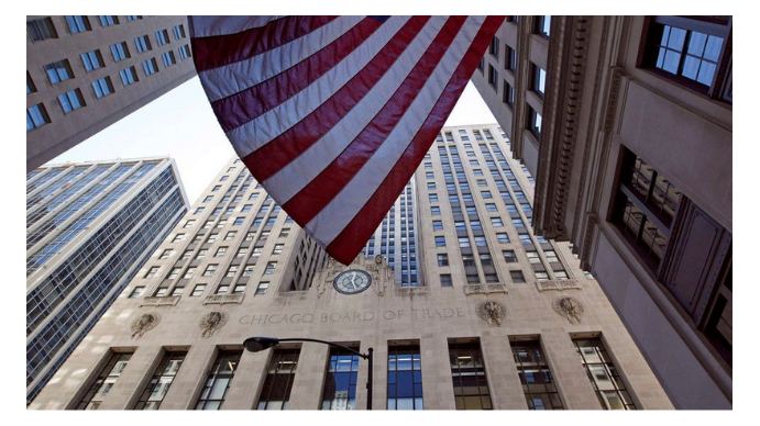 La soja frenó su marcha en Chicago y cayó por debajo de los USD 520 por tonelada