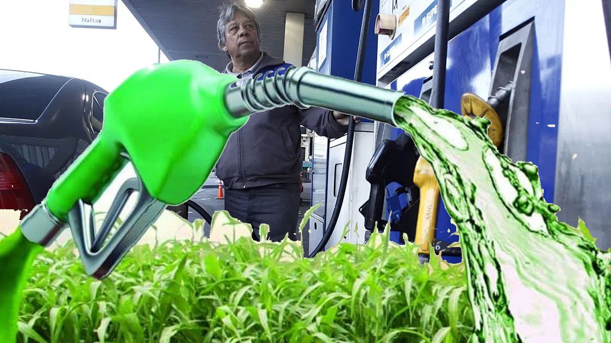 Una normativa del Gobierno para atenuar el impacto del petróleo en el precio de las naftas. (Foto: A24.com)