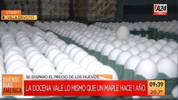Por la Guerra, los huevos están por las nubes y volverían a aumentar. (Captura de Tv) Por la Guerra, los huevos están por las nubes y volverían a aumentar. (Captura de Tv)