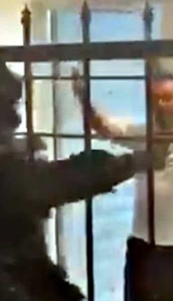 Encuesta Basta Baby: la forma de detener a los colectiveros que agredieron a Sergio Berni fue...