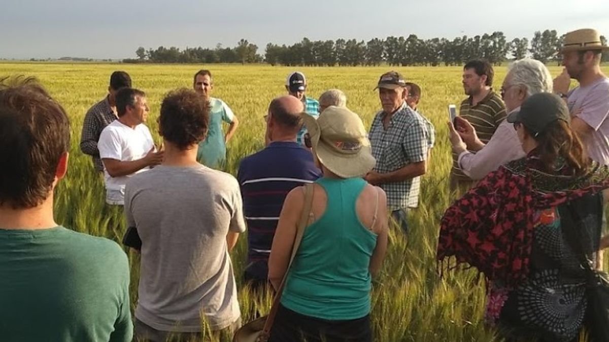 Cerdá, es uno de los referentes regionales en agroecología. 