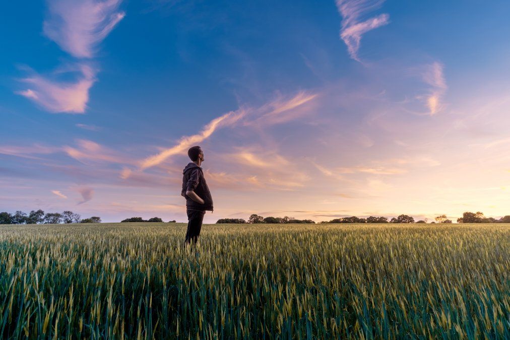 La desverticalización del agro, otra mirada de la caída de las explotaciones agropecuarias