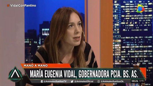 Vidal se sinceró: “Nadie cree que yo puedo ganar la elección y si hubiera especulado, habría desdoblado”