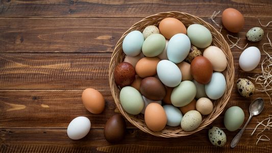 Qué indica el color de la cáscara de los huevos y qué nos dice sobre su calidad