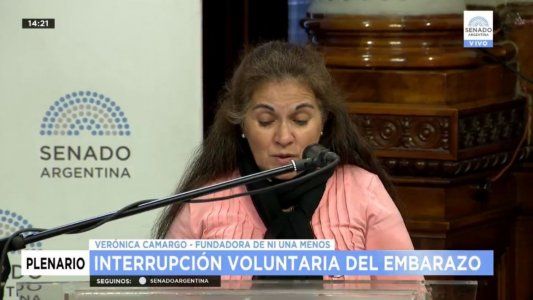 Claudia Piñeiro, Margarita Stolbizer y la mamá de Chiara Páez, en la última jornada de debate por la legalización del aborto en el Senado