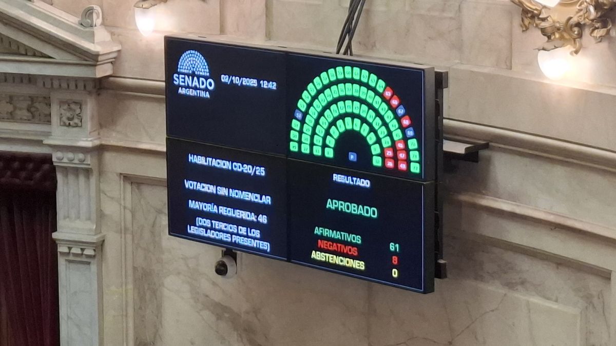 El Senado tratará los vetos de Javier Milei al Financiamiento Universitario y a la Emergencia Pediátrica.&nbsp;