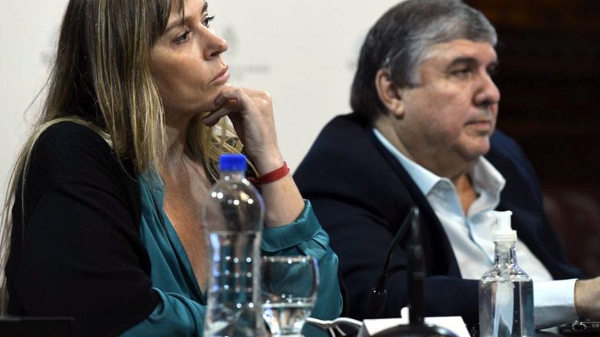 Senadores del Frente de Todos denuncian un golpe institucional de la Corte Suprema. (Prensa)