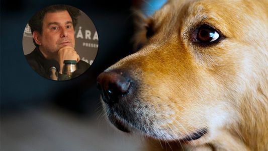 Andrés Calamaro y su polémica frase sobre los perros