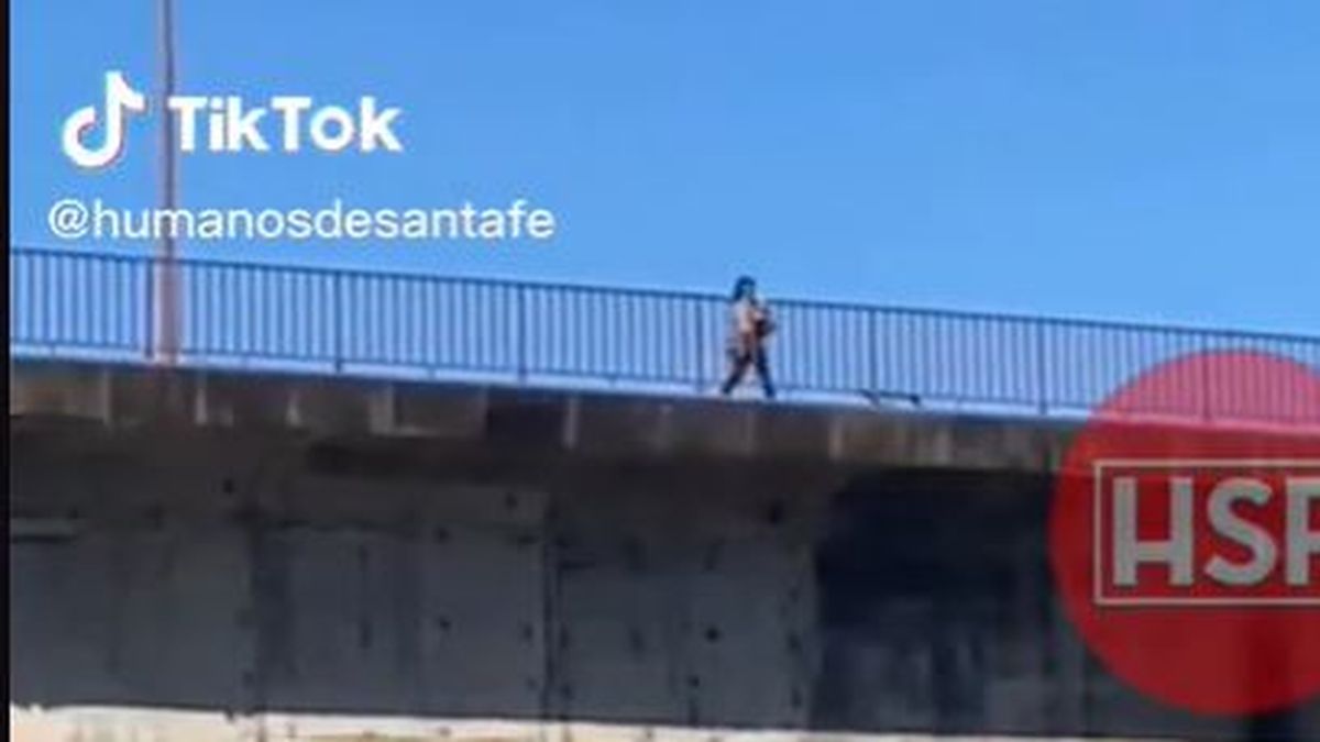Video: tiró un gatito desde un puente y lo rescató un guardavidas