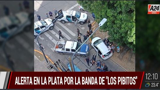 La Plata: cayeron 6 integrantes de la banda de los pibitos
