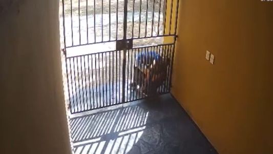 Brutal: se resistió a un robo y el ladrón le arrancó un pedazo de oreja