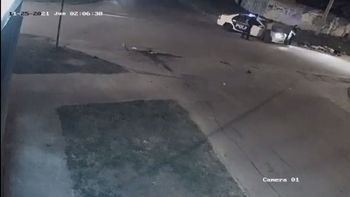 Mar del Plata: así policías agredieron a un cartonero en la calle