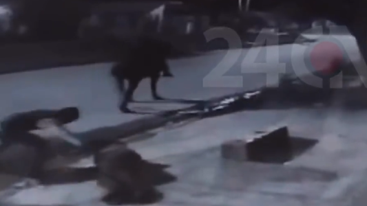 Insólita modalidad delictiva: le robaron a caballo la billetera y el celular