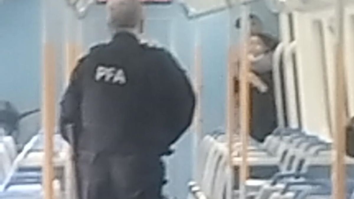El momento en que la mujer es tomada como rehén por parte de un hombre en el Tren Roca. (Foto: archivo).