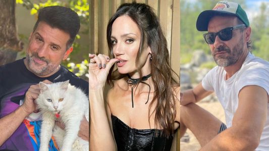 Paula Chaves confirmó la pelea entre Pedro Alfonso y José María Listorti, y reveló los motivos