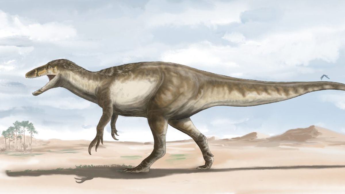 Reconstrucción en vida de Maip realizada por el ilustrador argentino Agustín Ozán. (Foto: prensa Conicet)