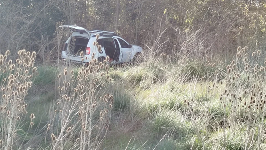 Otra masacre familiar: un hombre estranguló a su pareja, mató a sus hijos y se suicidó