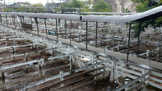En el último día de paro, no hubo ingresos en el Mercado de Liniers