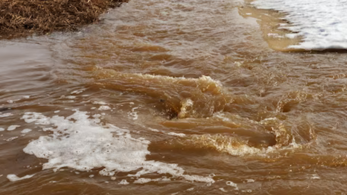 Soñar con agua sucia revela conflictos internos o emociones que no están siendo resueltas. Foto: Internet. Soñar con agua sucia revela conflictos internos o emociones que no están siendo resueltas. Foto: Internet.