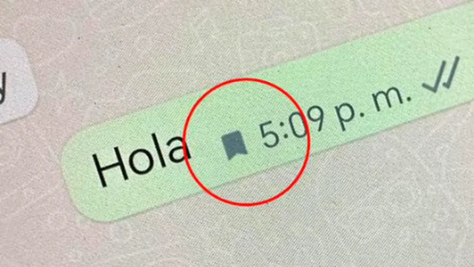 WhatsApp: qué significa el nuevo ícono de la bandera que aparece en los mensajes