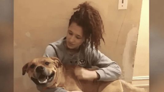Fue a adoptar un perro y encontró al que había perdido