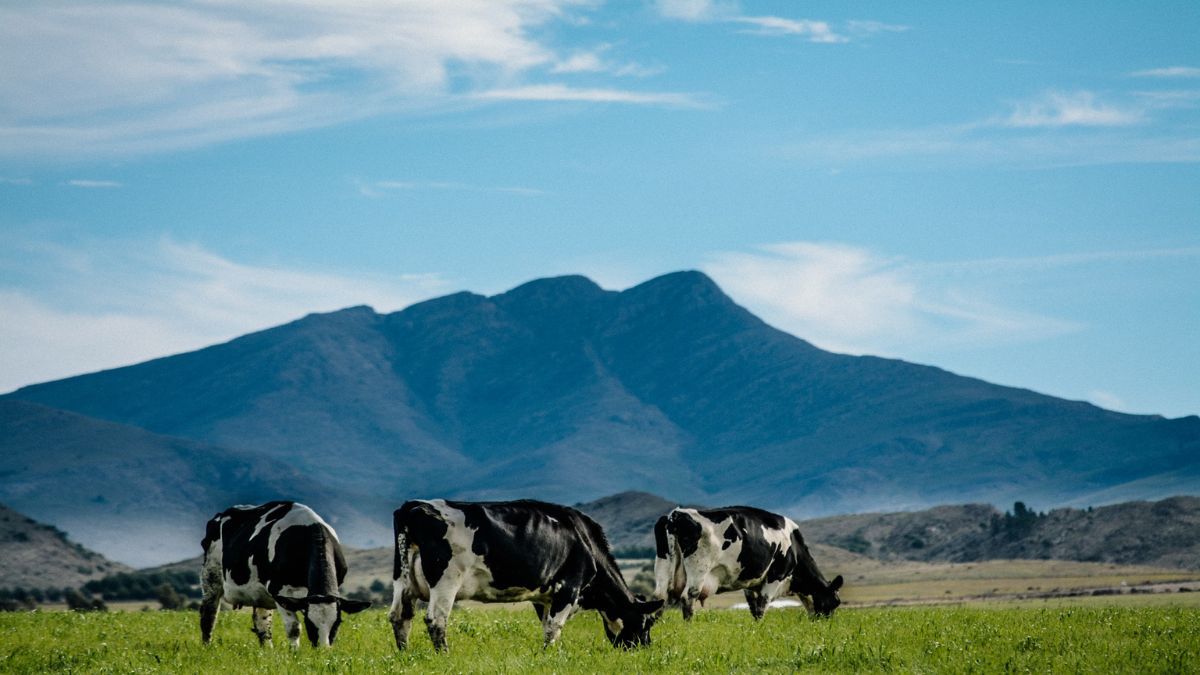 (Foto: Gentileza Estado argentino)
