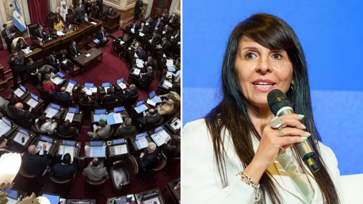 Quiénes son los senadores que juran este viernes y por qué faltará una legisladora libertaria