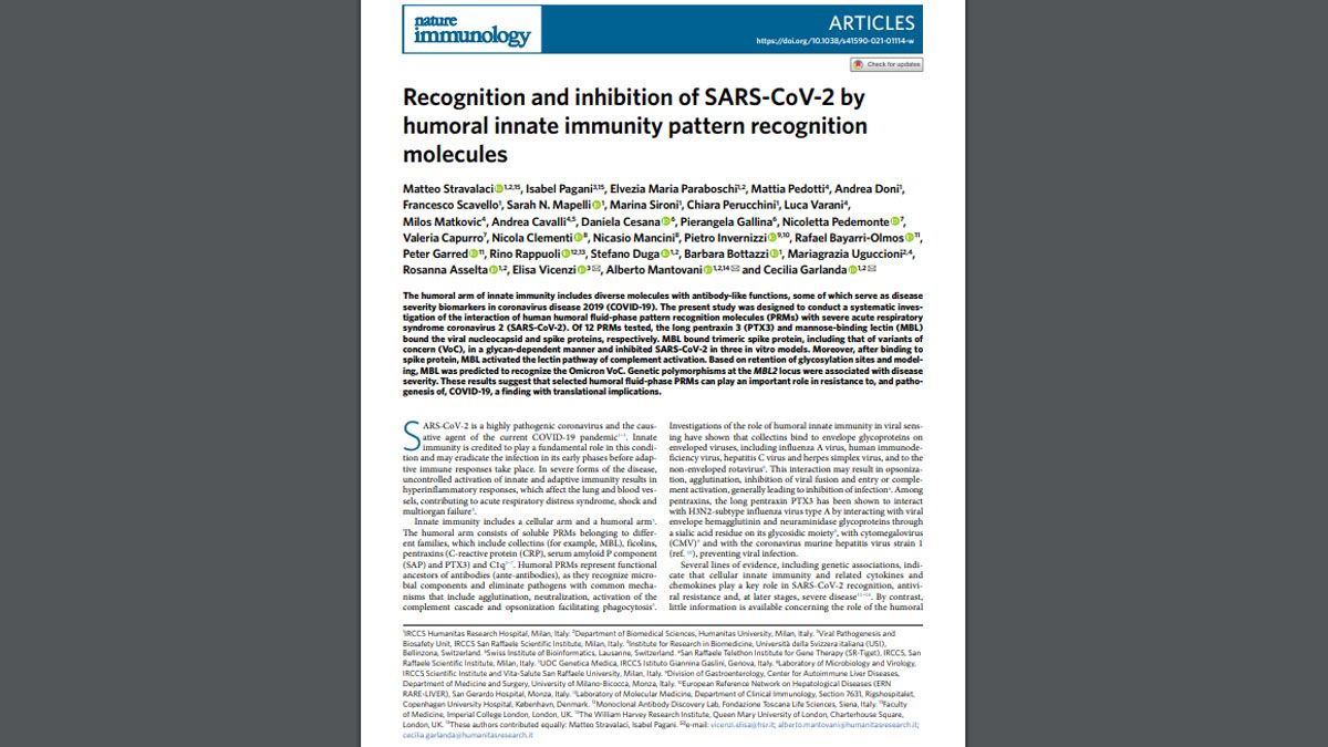 el trabajo presentado oficialmente por los científicos italianos, un avance contra la pandemia (Foto: 